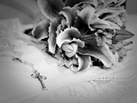 Foto 0007 do casamento de Thais e Enilson. Fotos de Max Ferreira (fotografo profissional de eventos) que fotografa eventos (casamentos) em Niteroi e Rio de Janeiro